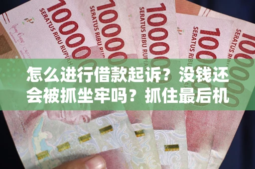 武汉怎么进行借款起诉？没钱还会被抓坐牢吗？抓住最后机会！