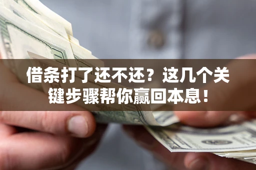 武汉借条打了还不还？这几个关键步骤帮你赢回本息！