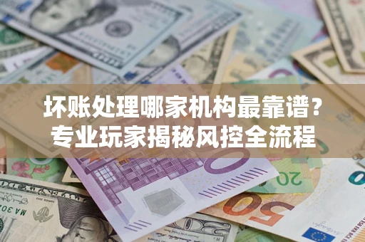 武汉坏账处理哪家机构最靠谱？专业玩家揭秘风控全流程