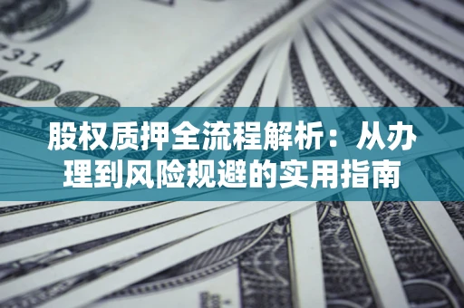 武汉股权质押全流程解析：从办理到风险规避的实用指南