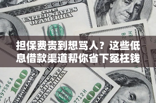 武汉担保费贵到想骂人？这些低息借款渠道帮你省下冤枉钱