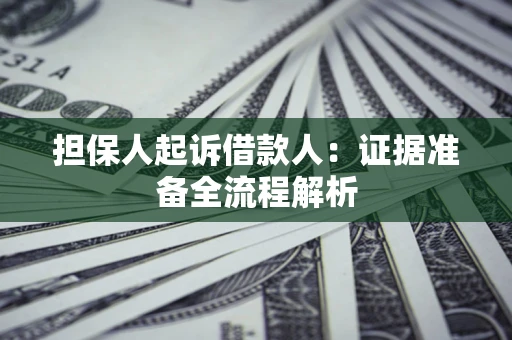 武汉担保人起诉借款人：证据准备全流程解析