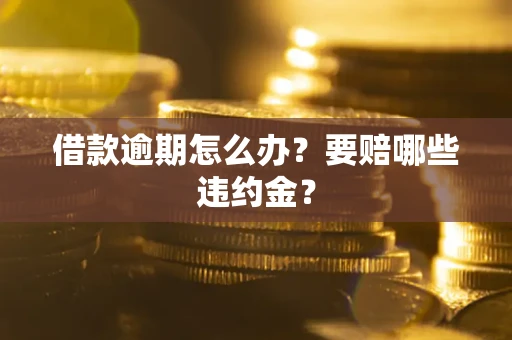 武汉借款逾期怎么办？要赔哪些违约金？