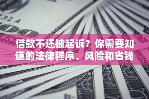 武汉借款不还被起诉？你需要知道的法律程序、风险和省钱技巧