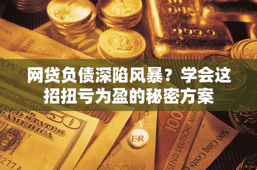 武汉网贷负债深陷风暴？学会这招扭亏为盈的秘密方案